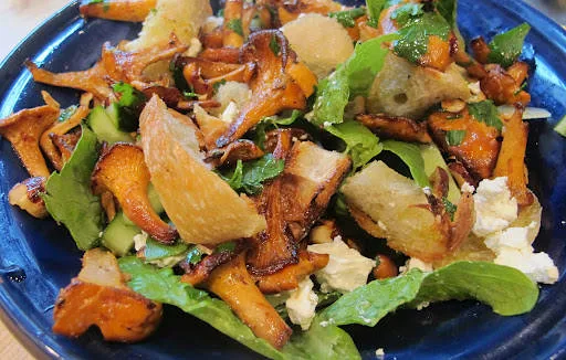 Tilsett litt agurk og fetaost i salaten, samt masse hakket bladpersille. Bland i kantareller og hasselnøtter og press 2 ss sitronsaft over salaten. Bland forsiktig og server umiddelbart. Jeg kan love deg at denne salaten blir en suksess!