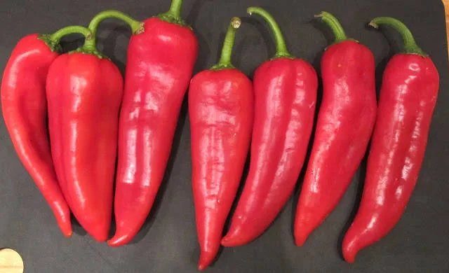 En pose med 7 smakspaprika koster 25 kroner på Gulden. På Ica nede i gata koster en pose med 2 stk 29 kr...