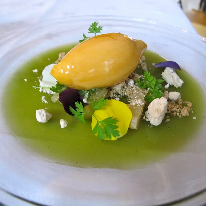 Tindved- og yoghurtsorbét på en gelé av basilikum