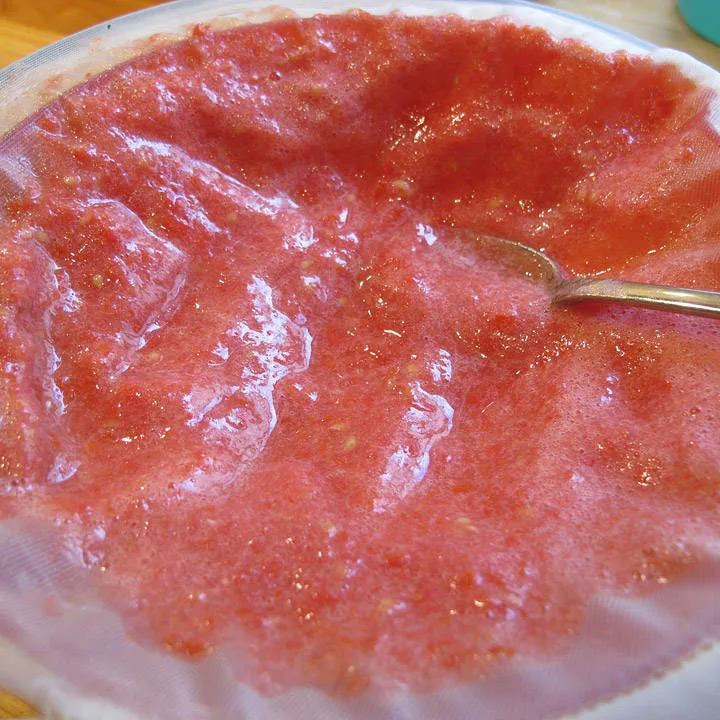 tomatausen siles i en finmasket sil