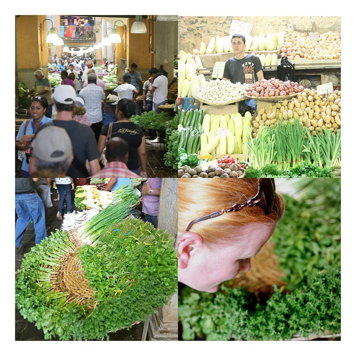 Herlige grønnsaker og urter i hopevis.