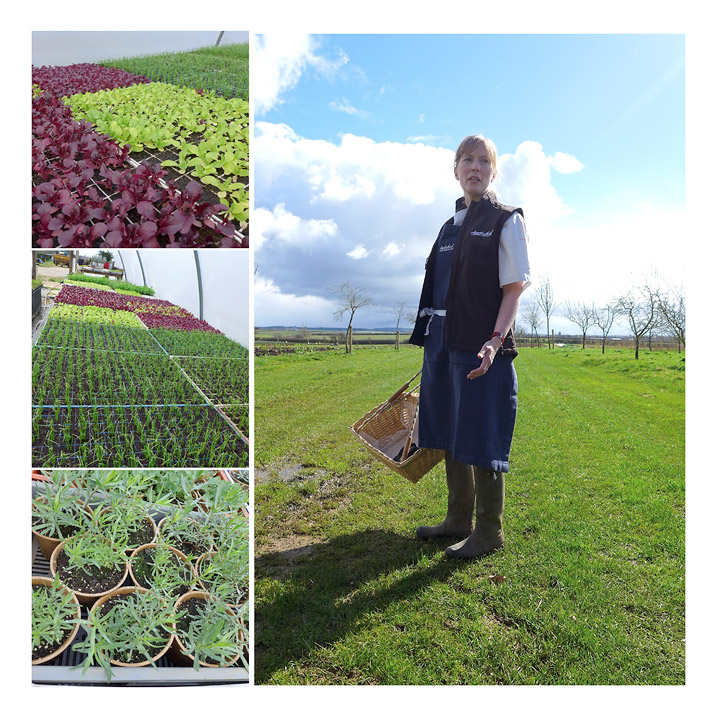 Kathy guider oss gjennom gården.