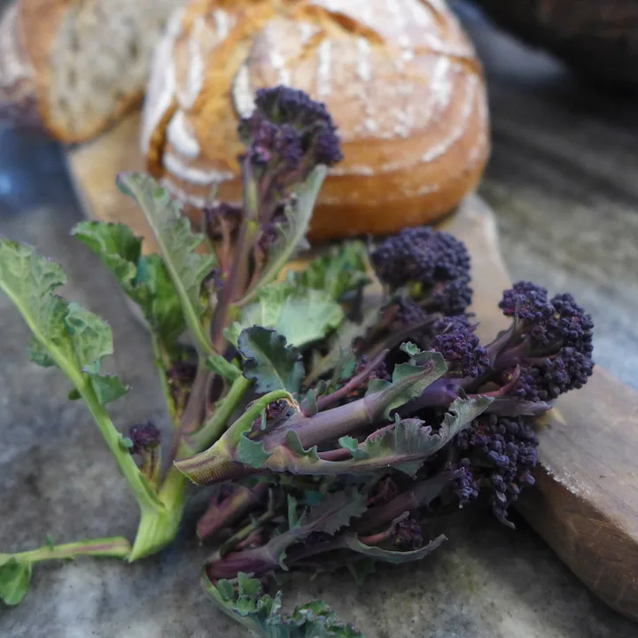 Purple sprouting broccoli