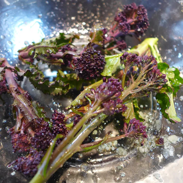Broccolinien vendes i olje, salt og pepper før den grilles.
