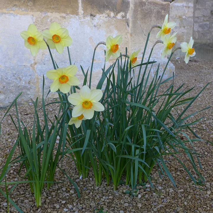 Det er definitivt vår!