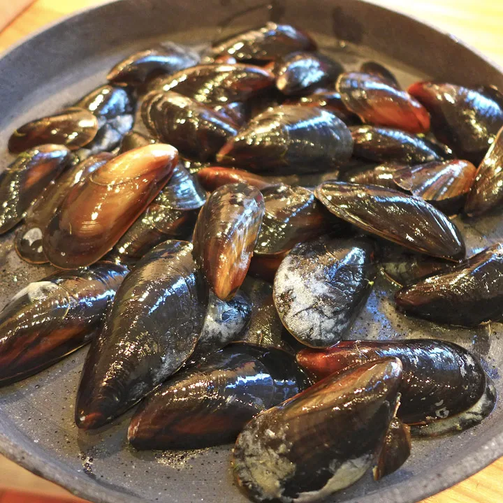 Tomme skjell blir en del av dekoren.