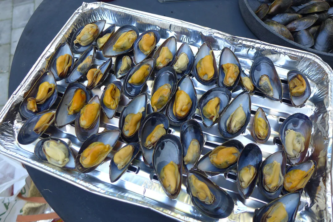 Fordel blåskjellene utover metallformen