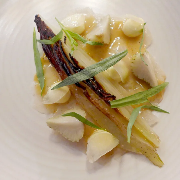 1. rett. Cerviche av slettvar med fennikel, majones og grønne jordbær.