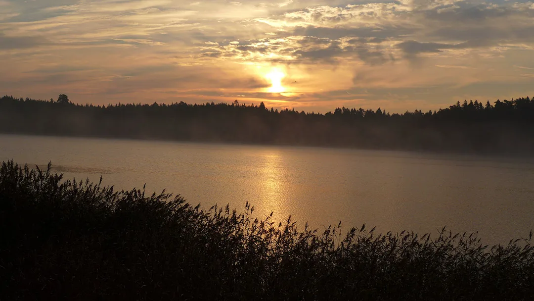 Morgenstund før frokost.