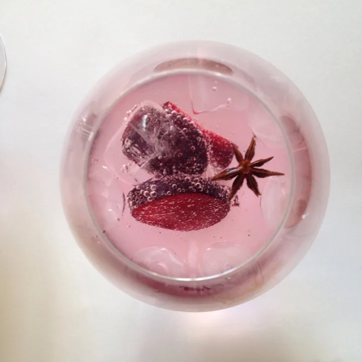 Gin med plomme og stjerneanis