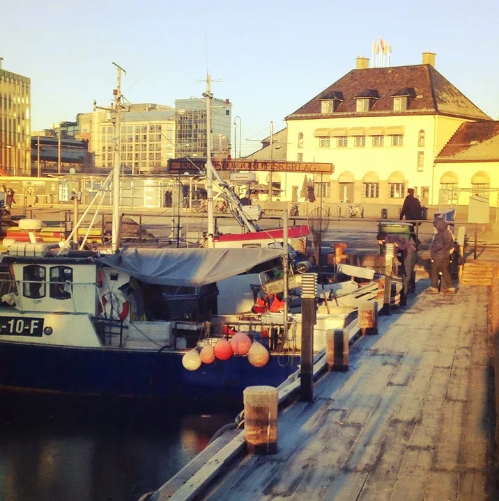 Skalldyr og fisk til salgs fra fiskebåtene på Rådhuskaia i Oslo.