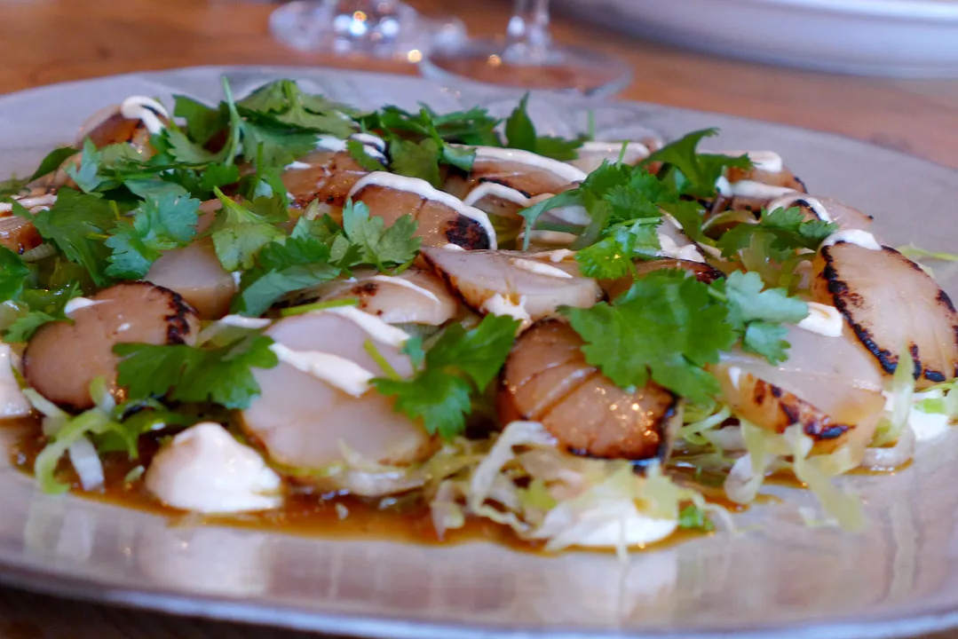 Lettgrillet kamskjellsashimi med misokrem, kål og asiatisk dressing.