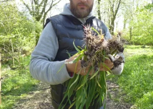 En matdag med Mikkel