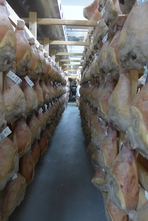 Det aller helligste. Her henger Santa Kristina-skinkene til langtidsmodning på rekke og rad.