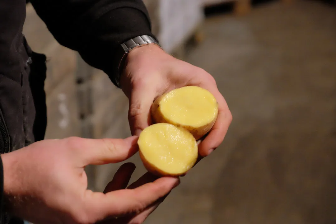 Andreas Wiklund viser