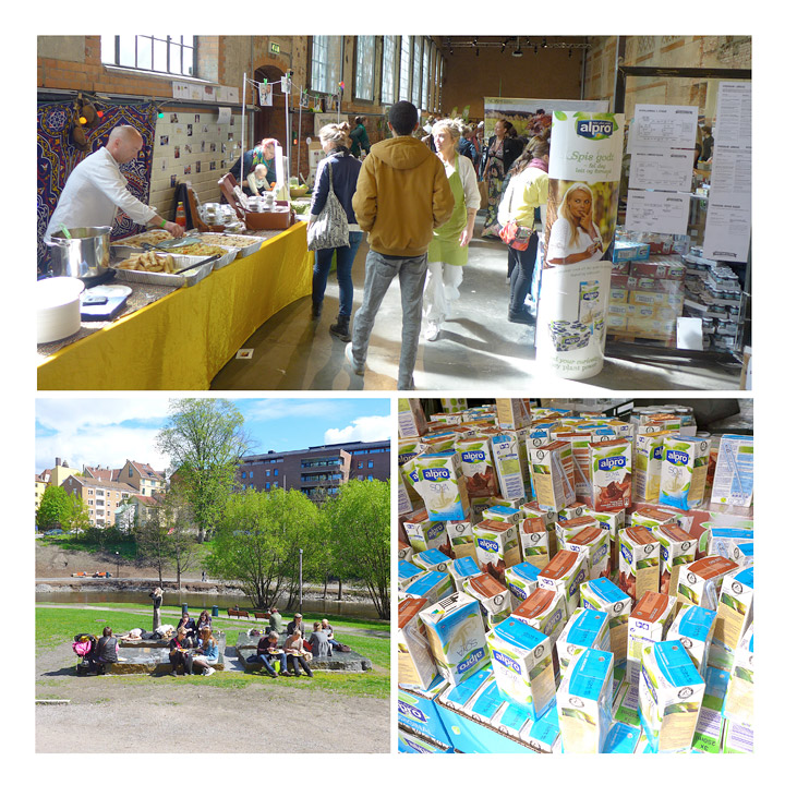 Uteområdet er badet i sollys, Soyamelk i mange varianter.