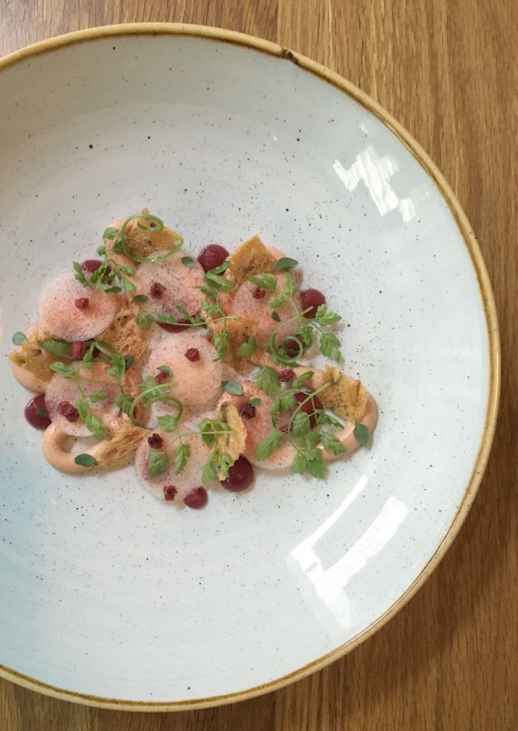 Kyllingleverkrem med tyttebær fra Røros og sprøtt brød