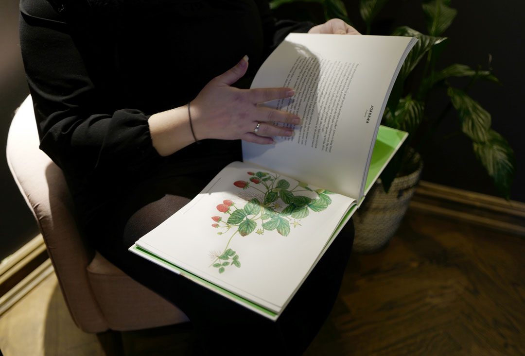 Flotte illustrasjoner i boken.