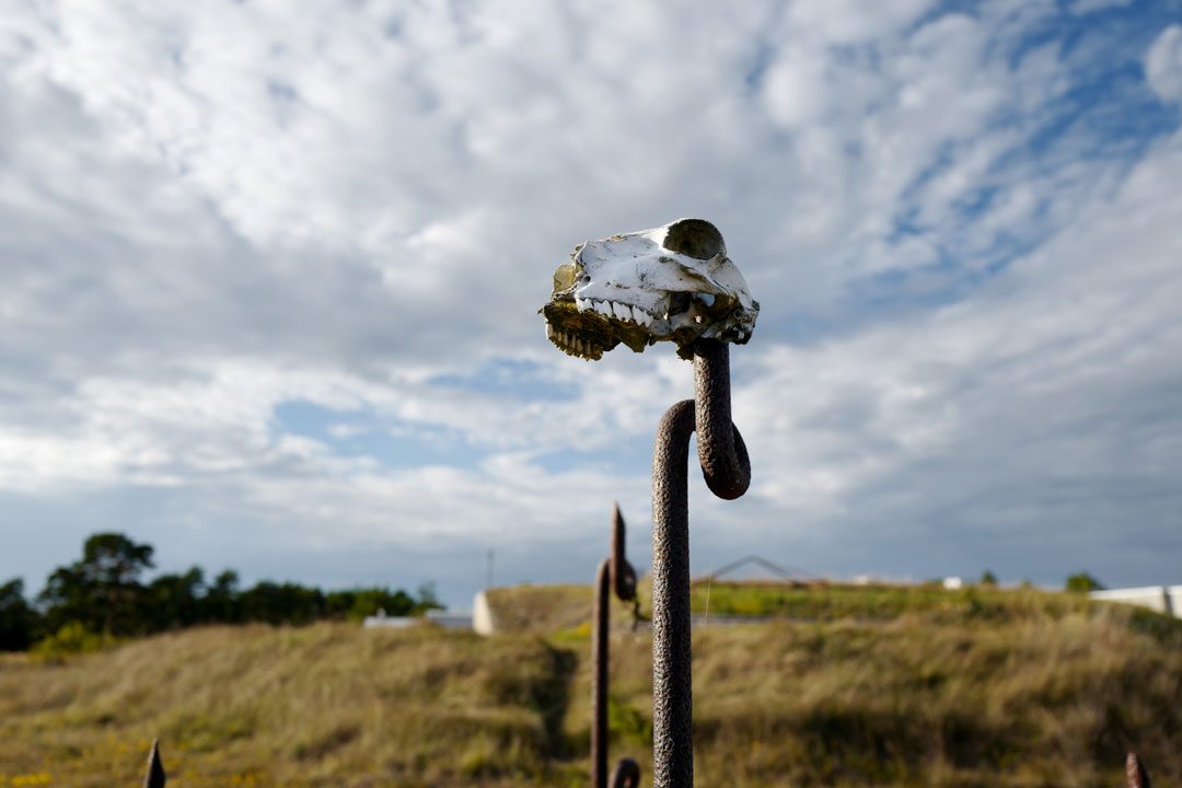 localhost/helleskitchen , gotland