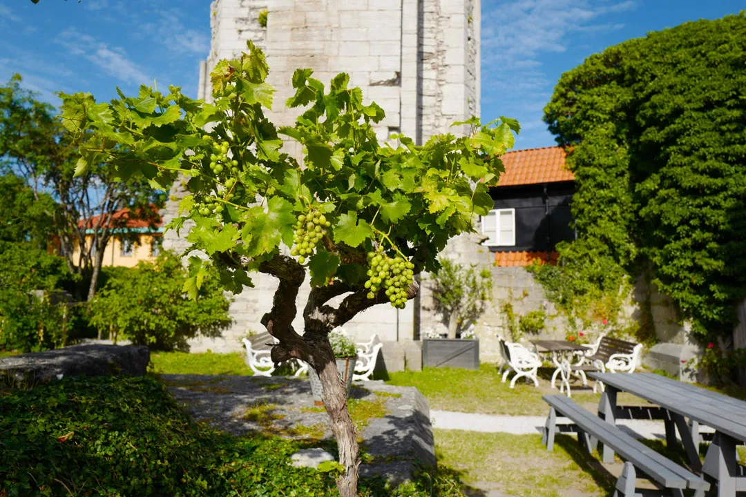 Gotland, Foto: localhost/helleskitchen