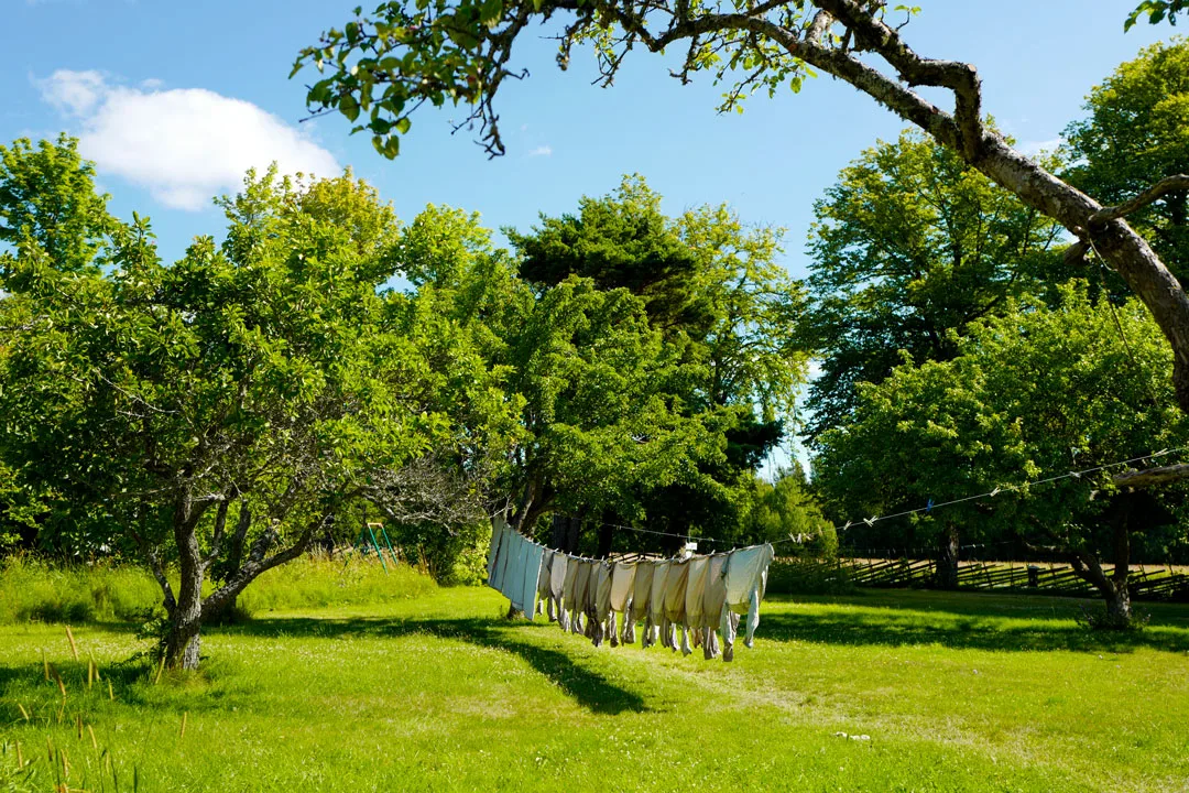 Gotland, Foto: localhost/helleskitchen