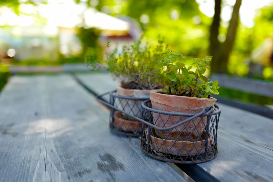 Gotland. Foto: localhost/helleskitchen