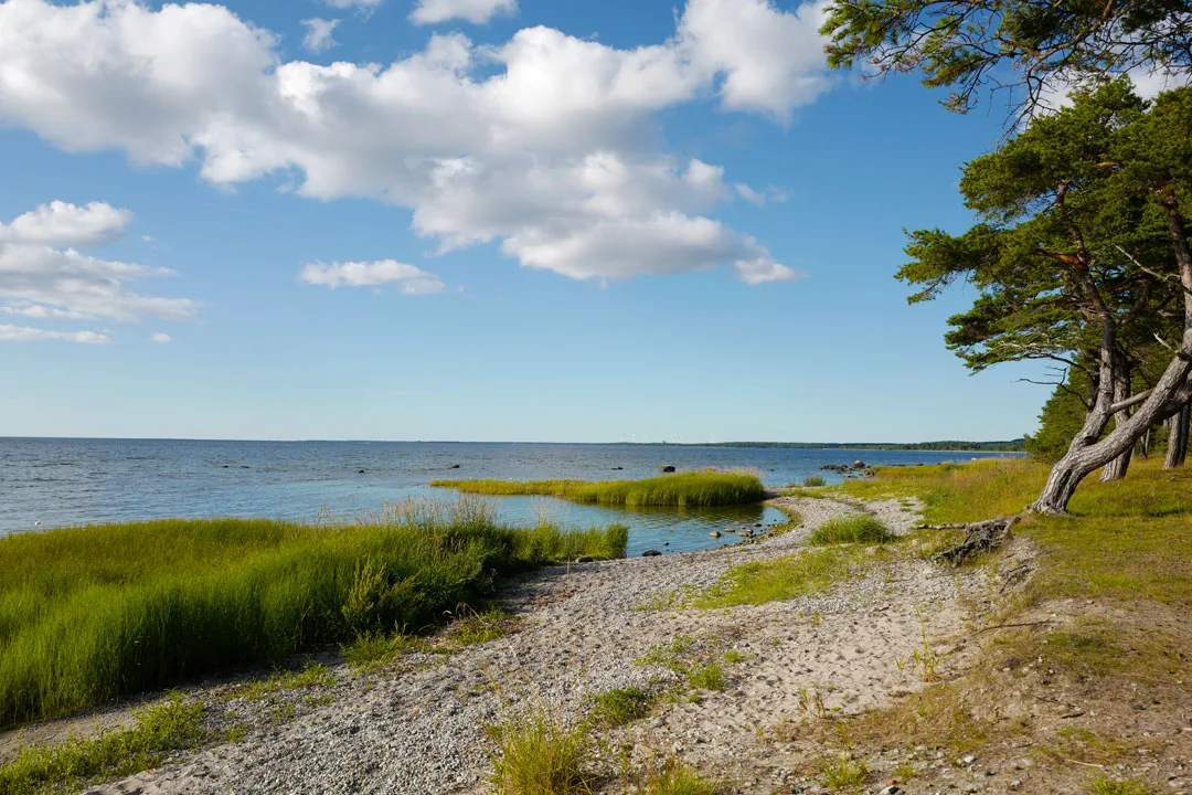 Gotland. Foto: localhost/helleskitchen