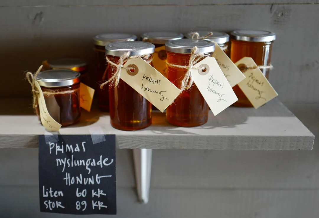 Gotland. Foto: localhost/helleskitchen