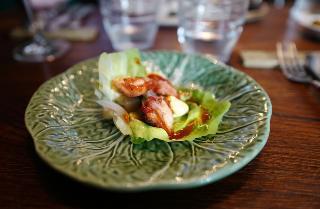 Suculent. Foto: localhost/helleskitchen