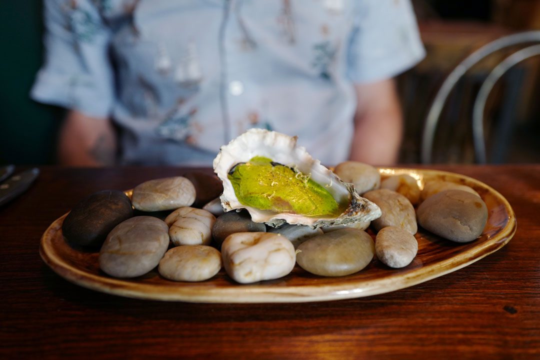 Suculent. Foto: localhost/helleskitchen