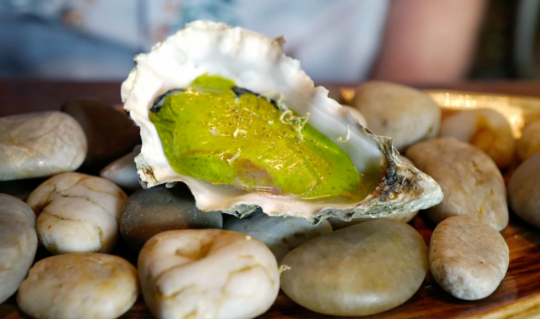 Suculent. Foto: localhost/helleskitchen