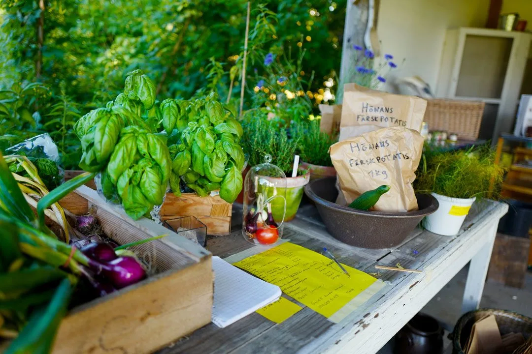 Gula Hönan. Foto: Heleskitchen.org