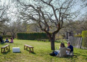 Djurgården og Skeppsholmen – to øyperler i Stockholm