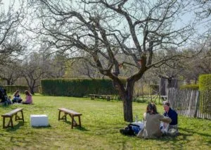 Djurgården og Skeppsholmen – to øyperler i Stockholm