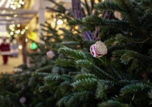 Dra til Aarhus før jul, da vel!