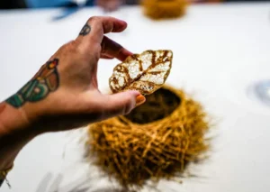 Disfrutar – verdens 1. beste restaurant